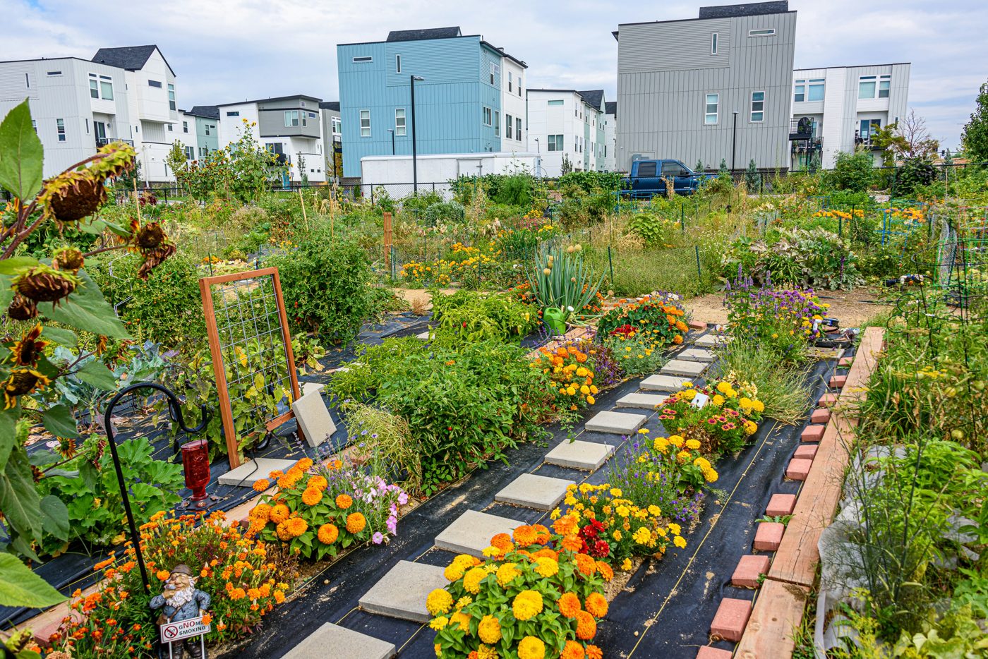 A planted garden flower bed