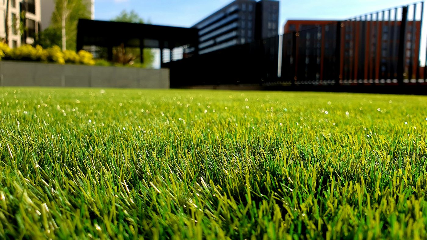 A freshly mowed, manicured backyard lawn