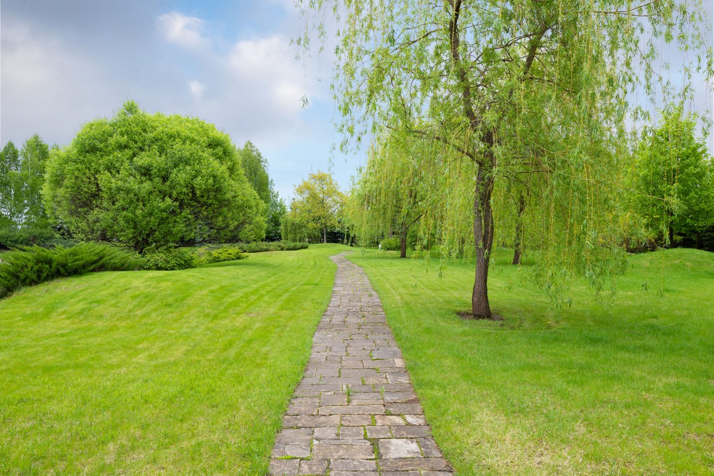 A paver stone walkway through a garden